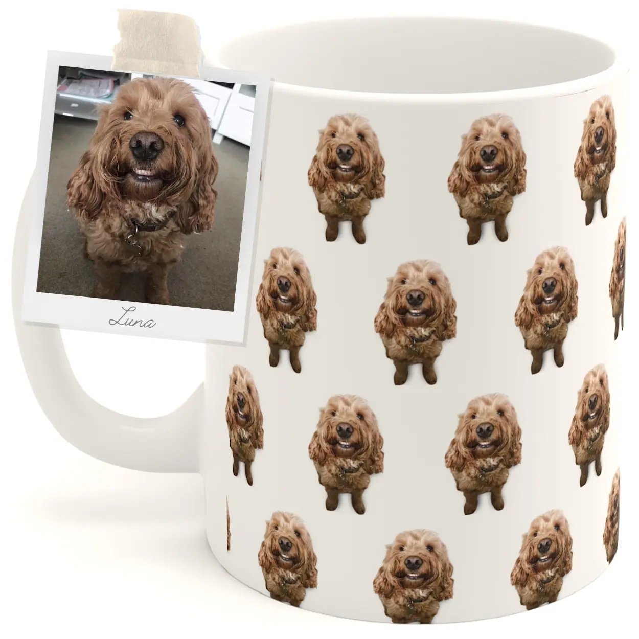 Main Product Image