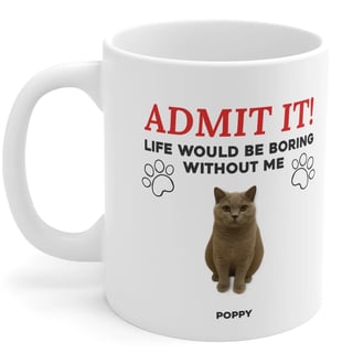 Life Would Be Boring Cat Mug
