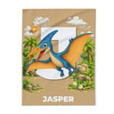 Personalised Dinosaur Blanket 2