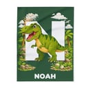 Personalised Dinosaur Blanket