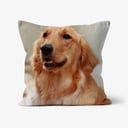 Photo cushion dog preview