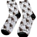personalised dog socks