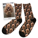 Dog face socks example