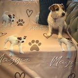Dog blanket personalised example