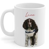 labrador mug