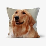 Photo cushion dog preview