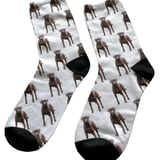 personalised dog socks