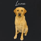 Dog Name T-shirt example 