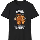 Professional Grandad Personalised T-shirt example 