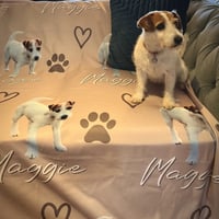 Personalised Blankets products category