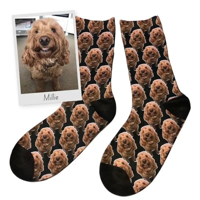 Personalised Dog Socks