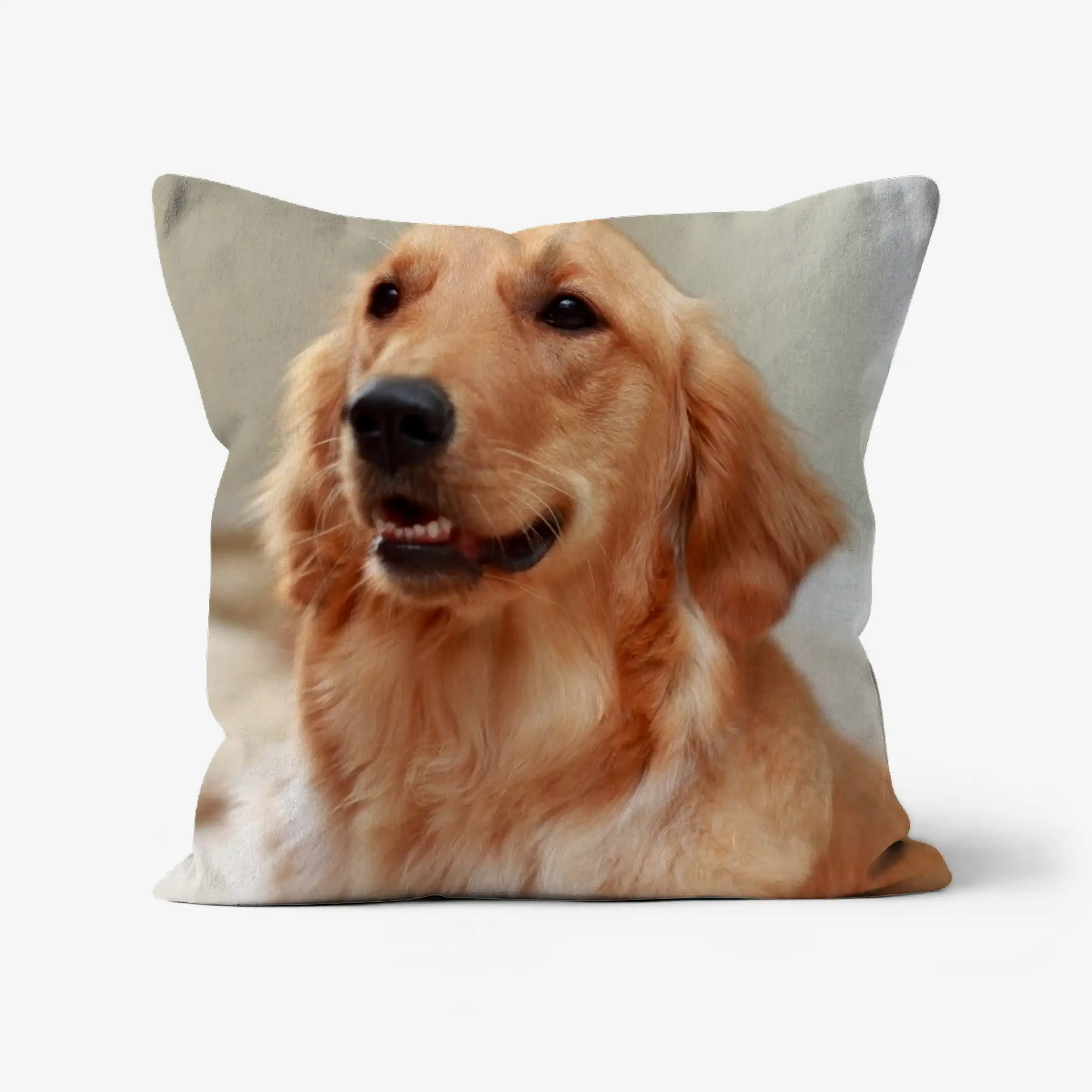 Photo cushion dog preview
