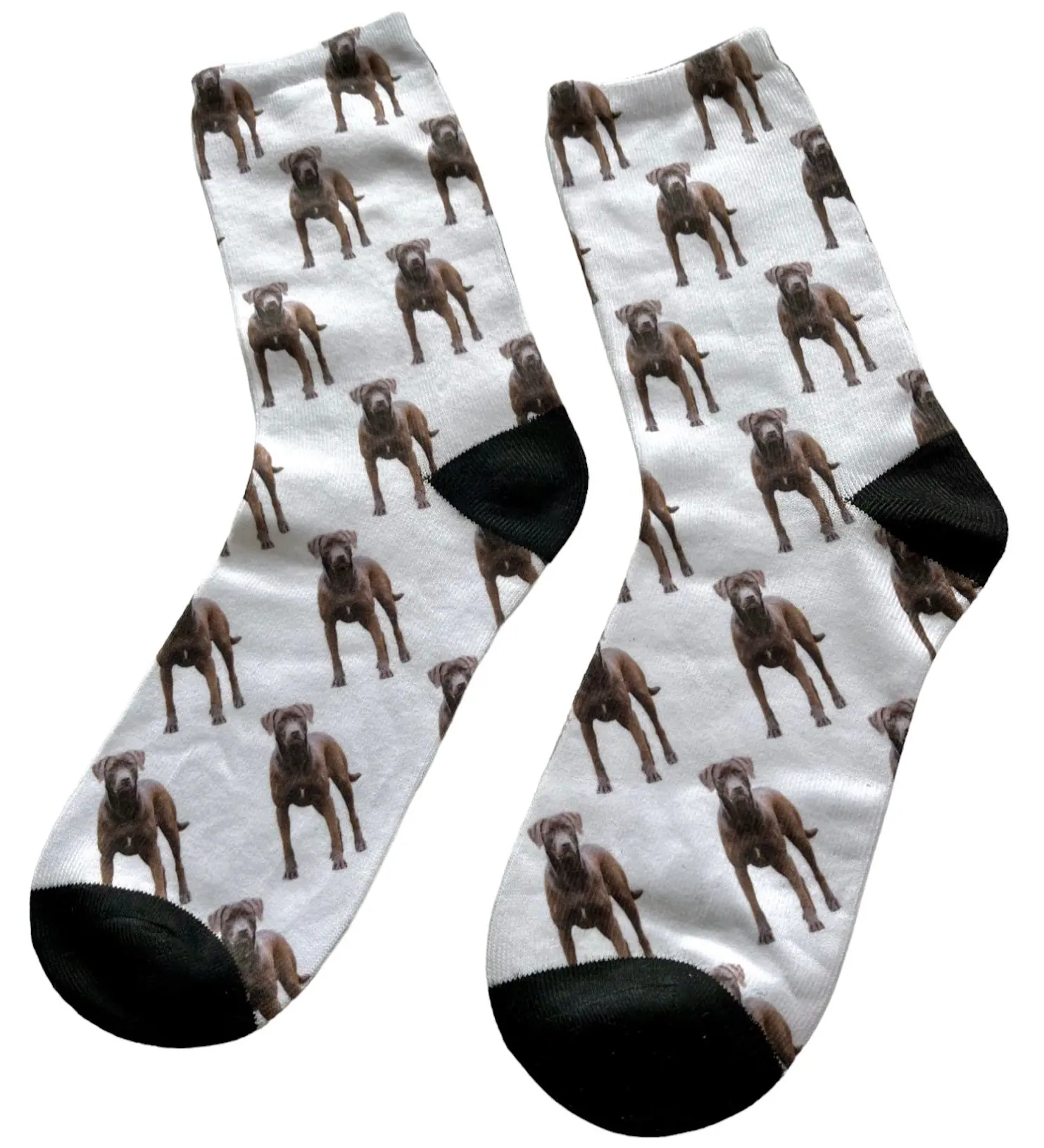 personalised dog socks